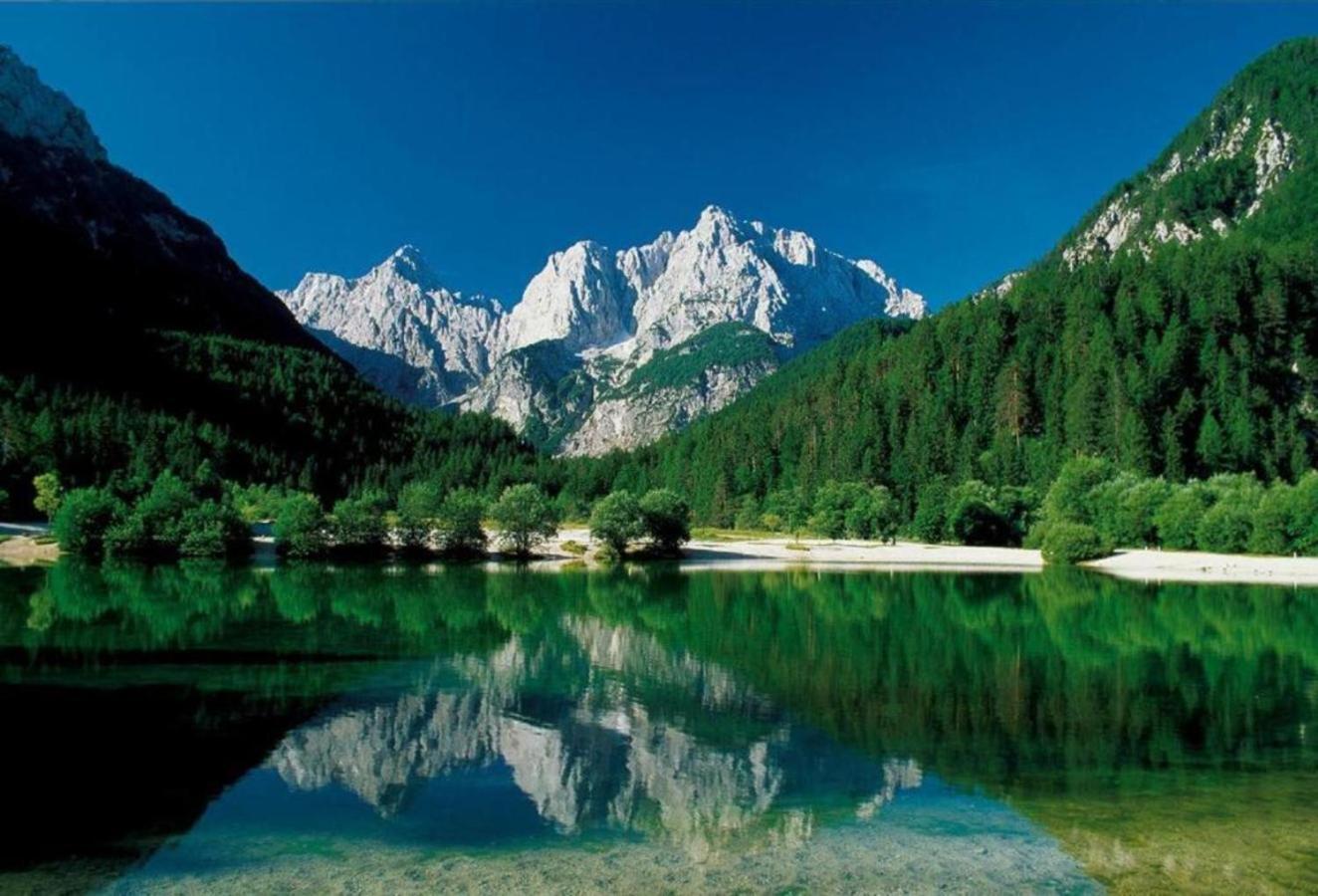 Apartmaji "La Vie Est Belle" Kranjska Gora Kültér fotó